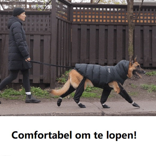 Protective Dog Boots | All-Weather Paw Guards