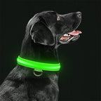 LED Pet Safety Collar | Rechargeable Night Visibility Design