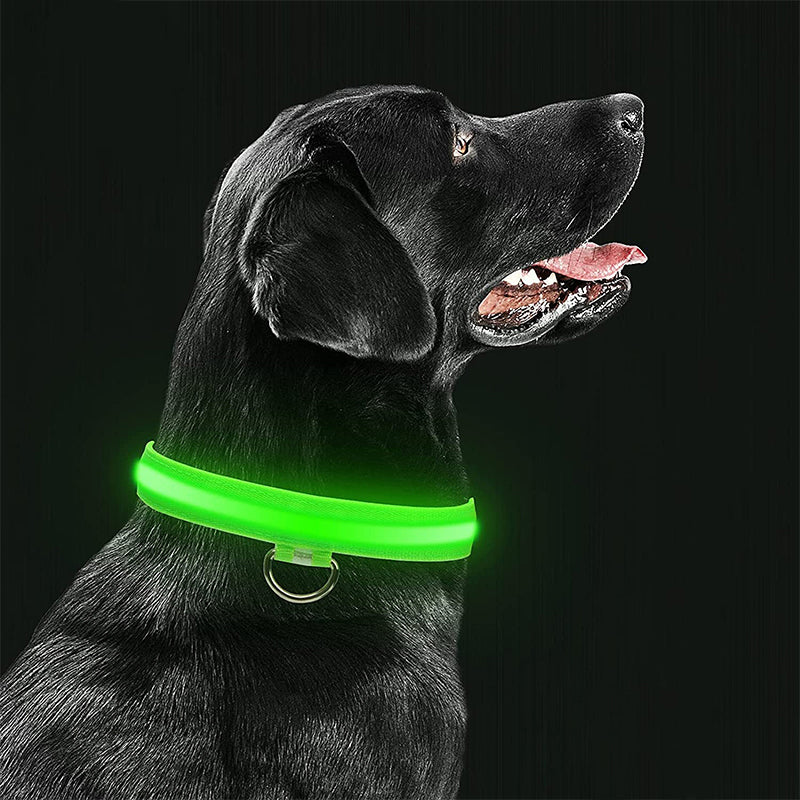 LED Pet Safety Collar | Rechargeable Night Visibility Design