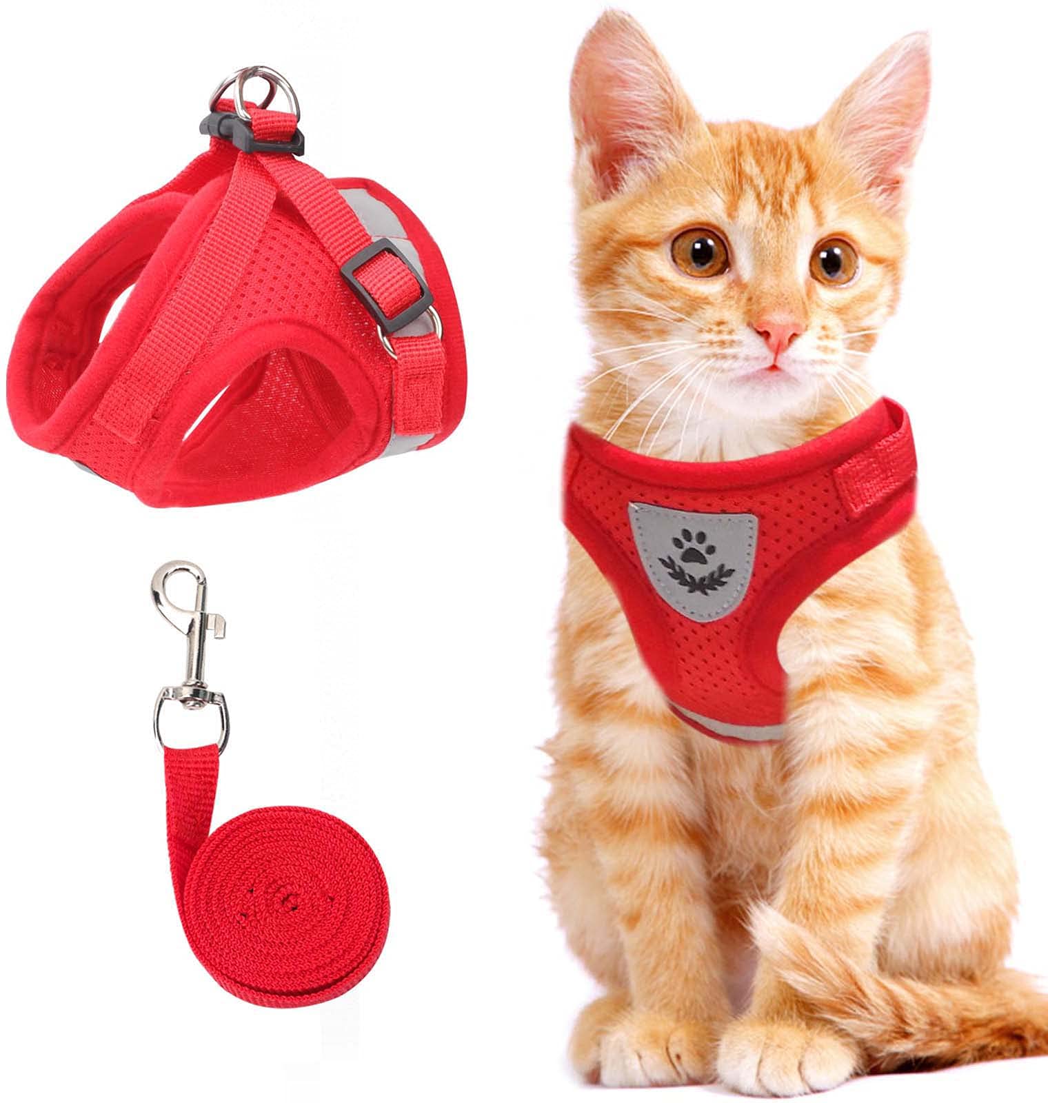 Reflective Cat Harness Set | Safety Mesh Design With Night Visibility