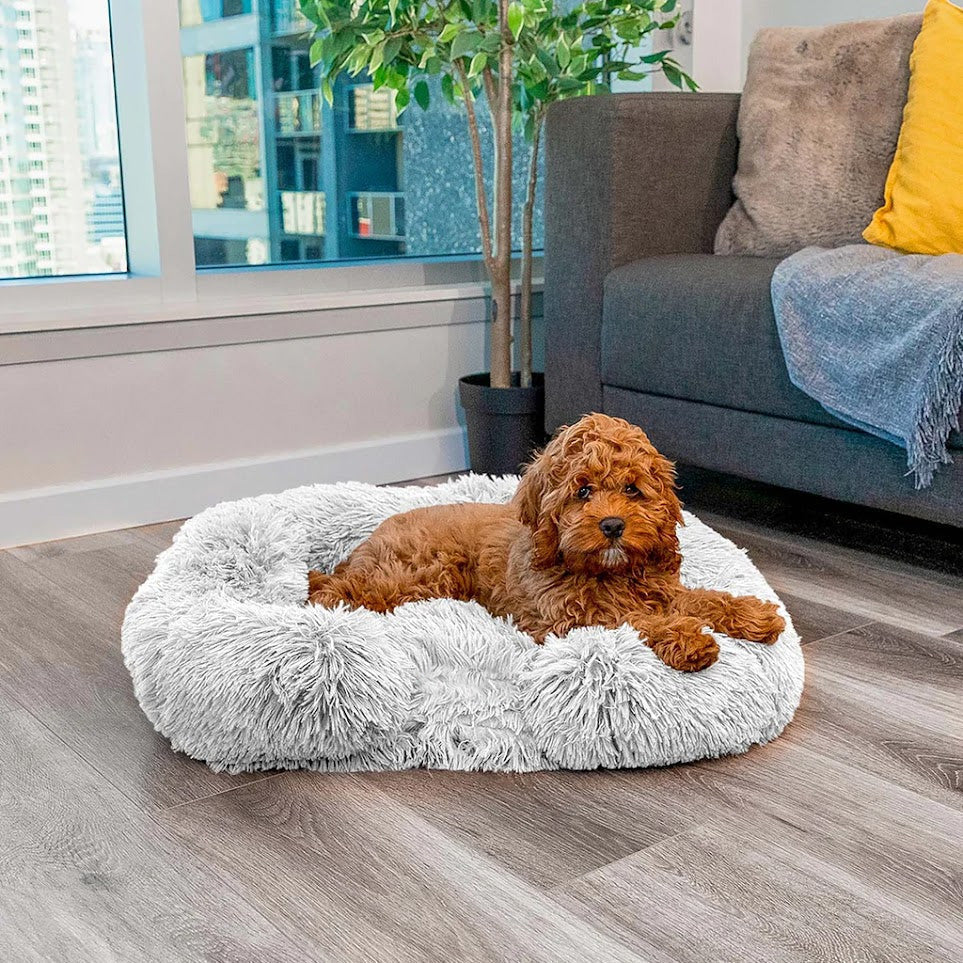 Orthopedic Dog Bed | Memory Foam With Plush Cover