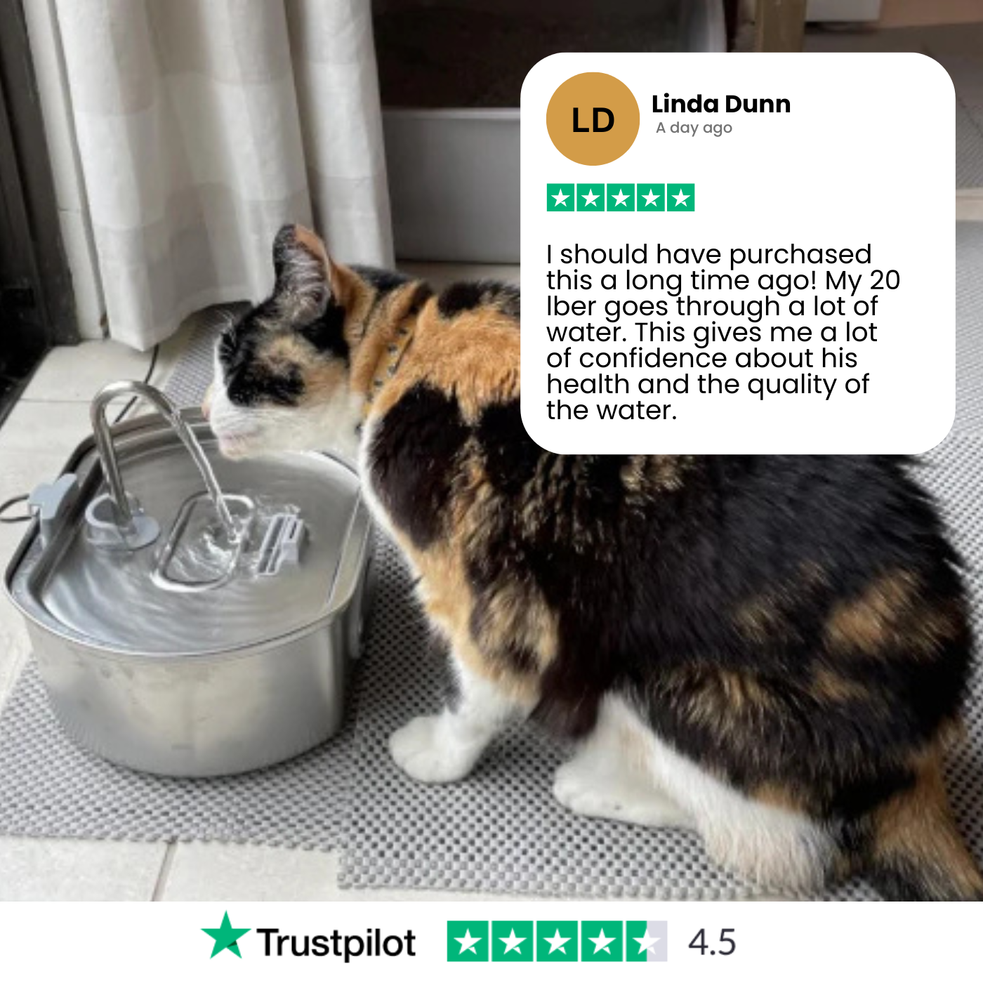 Pet Water Fountain | LED Indicator Stainless Steel Design
