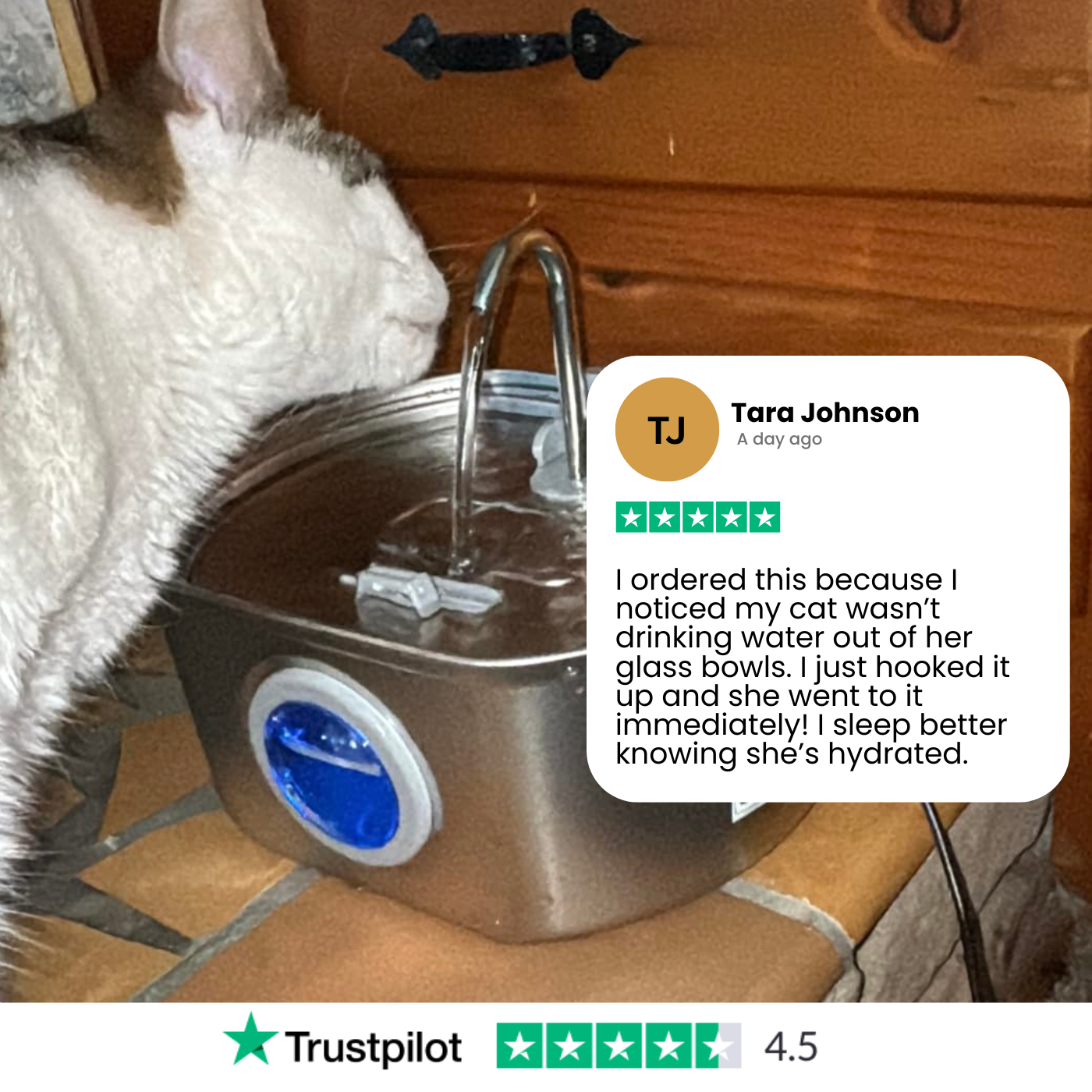 Pet Water Fountain | LED Indicator Stainless Steel Design