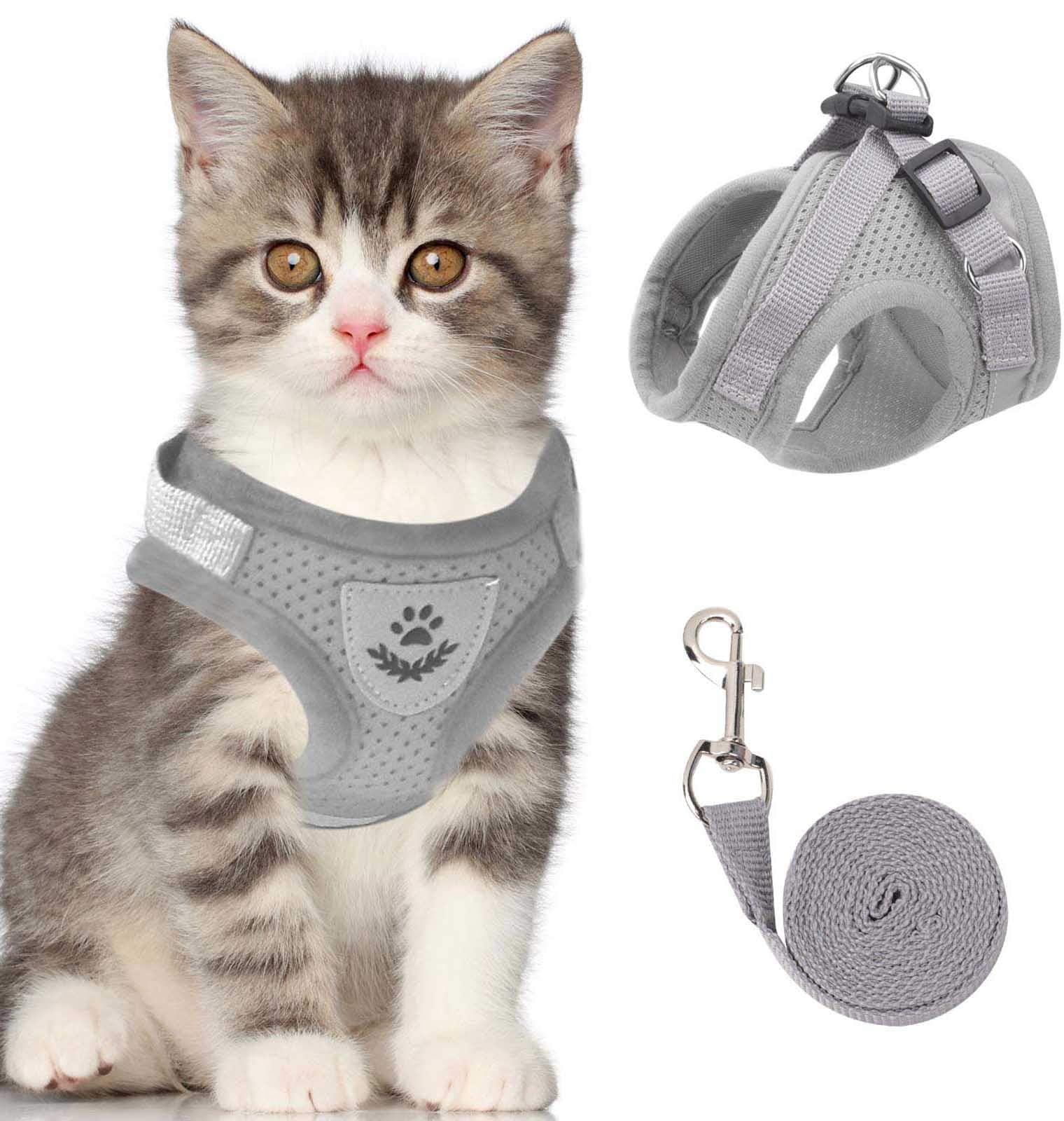 Reflective Cat Harness Set | Safety Mesh Design With Night Visibility