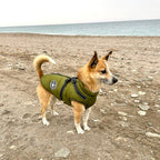 Winter Dog Coat | Built-in Safety Harness Design