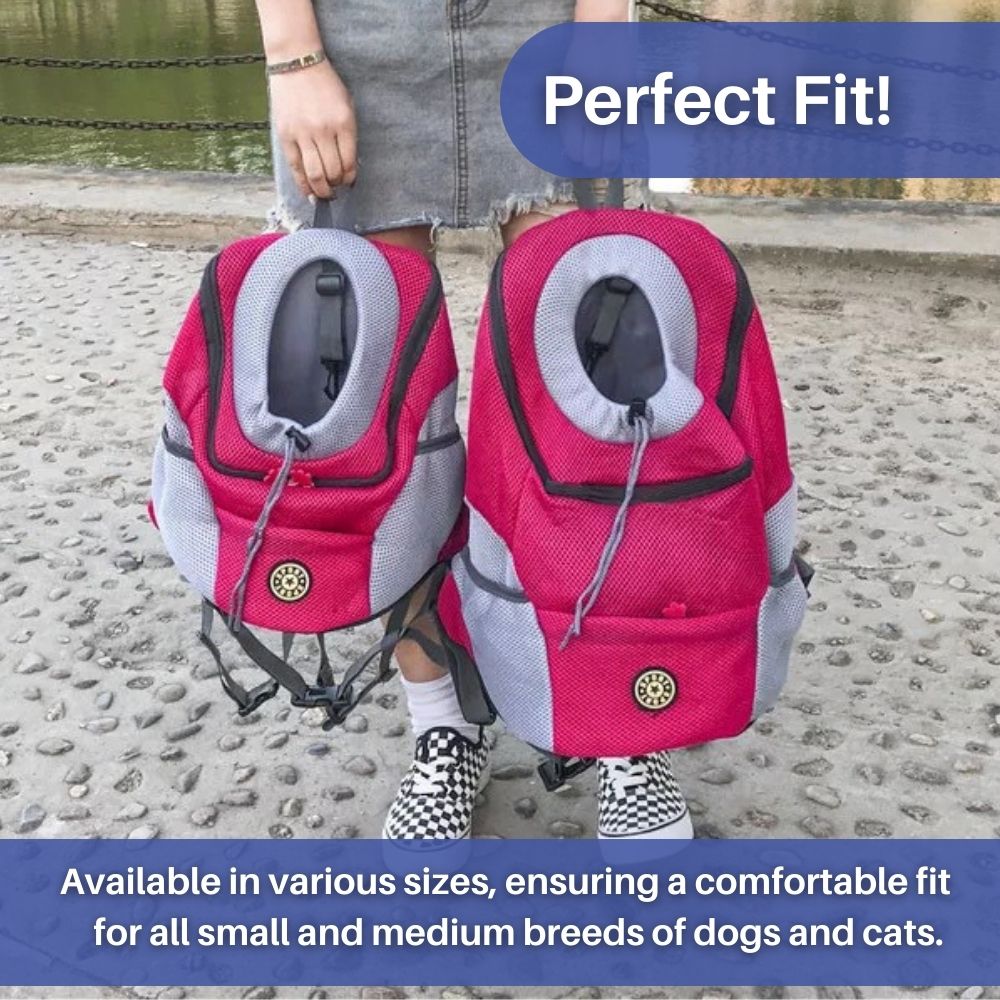 Pet Travel Backpack | Mesh Ventilated Carrier For Small Dogs