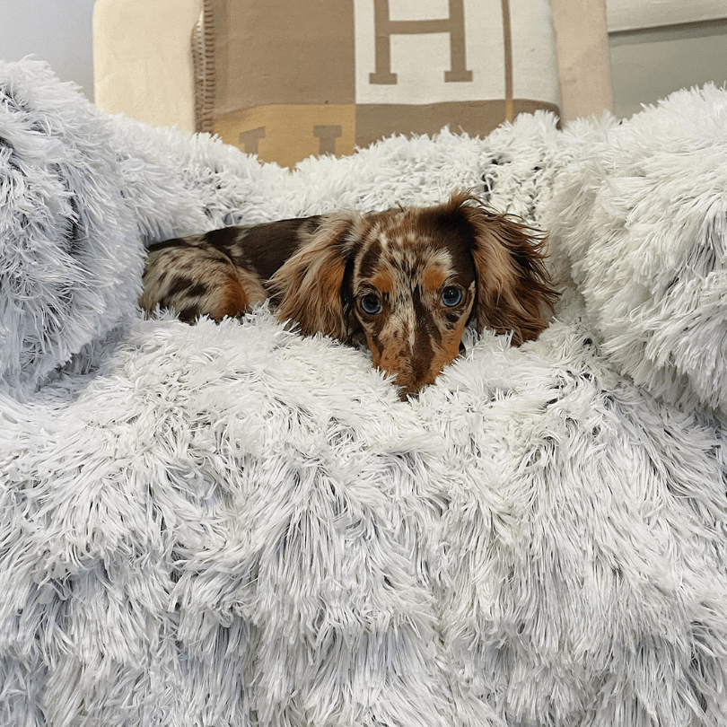 Plush Pet Furniture Protector | Water-Repellent Vegan Fur Bed