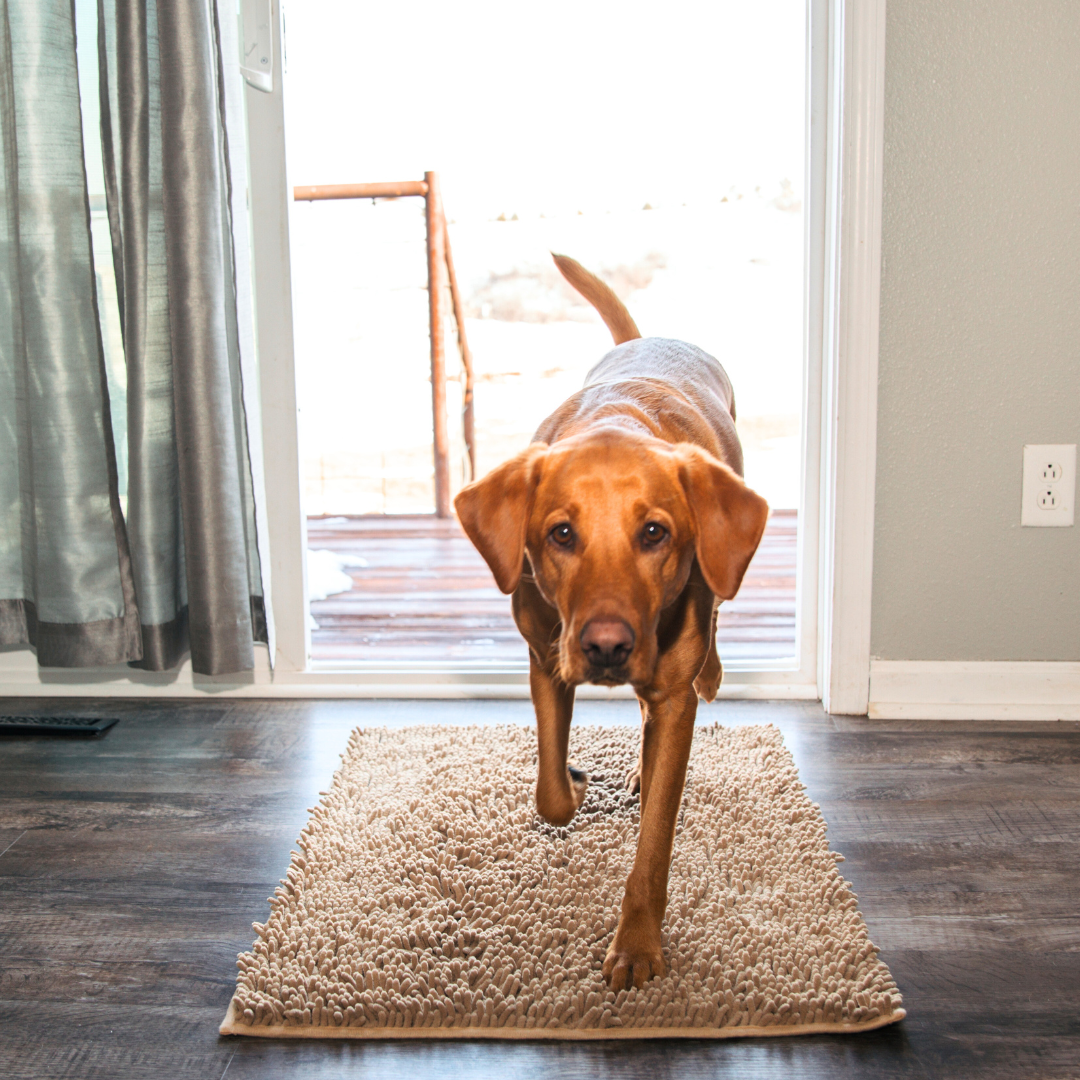 Absorbent Pet Door Mat | High-Performance Microfiber Cleaning Pad