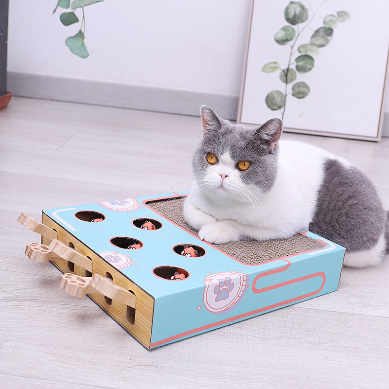 Interactive Cat Playground | 3-in-1 Cardboard Scratch Post & Play Box