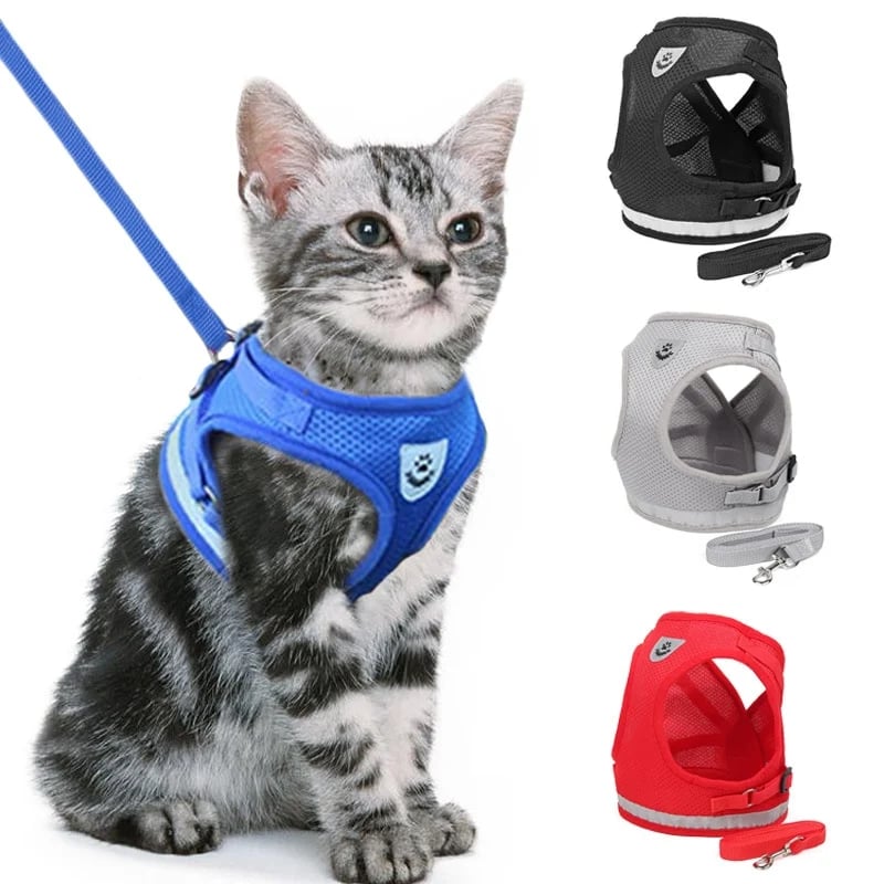 Reflective Cat Harness Set | Safety Mesh Design With Night Visibility
