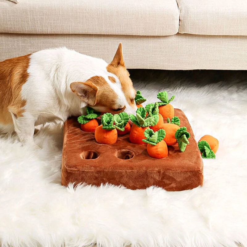 Interactive Dog Puzzle Mat | Carrot Garden Treat Dispenser
