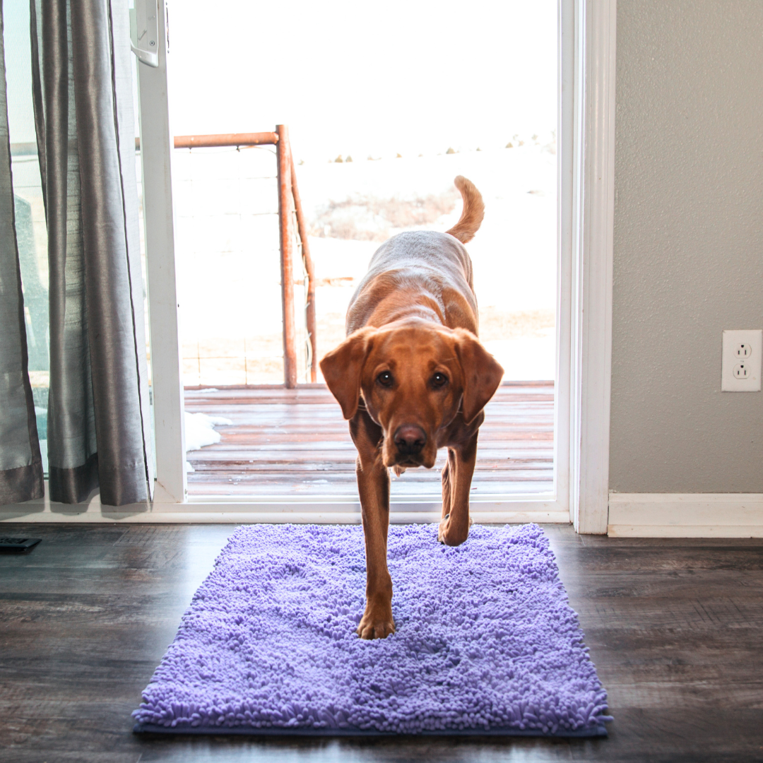 Absorbent Pet Door Mat | High-Performance Microfiber Cleaning Pad