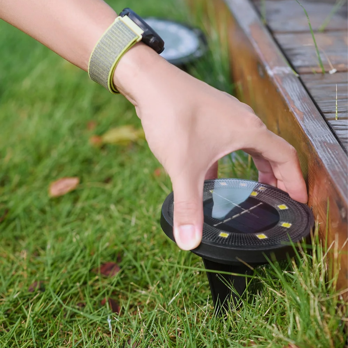 Solar Garden Path Lights | Wireless LED Ground Illumination