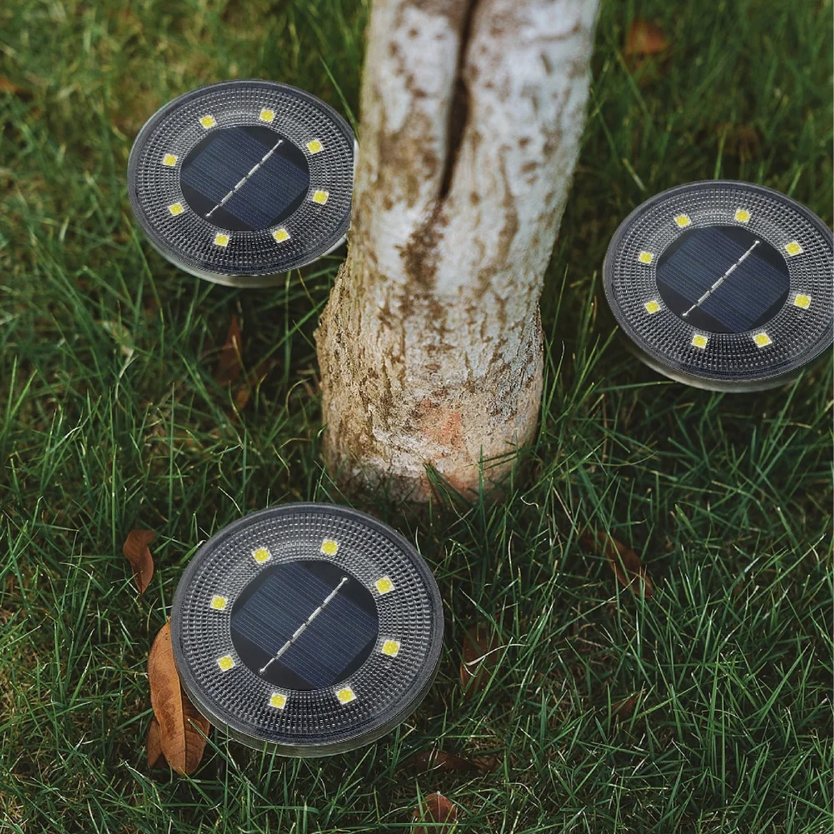 Solar Garden Path Lights | Wireless LED Ground Illumination