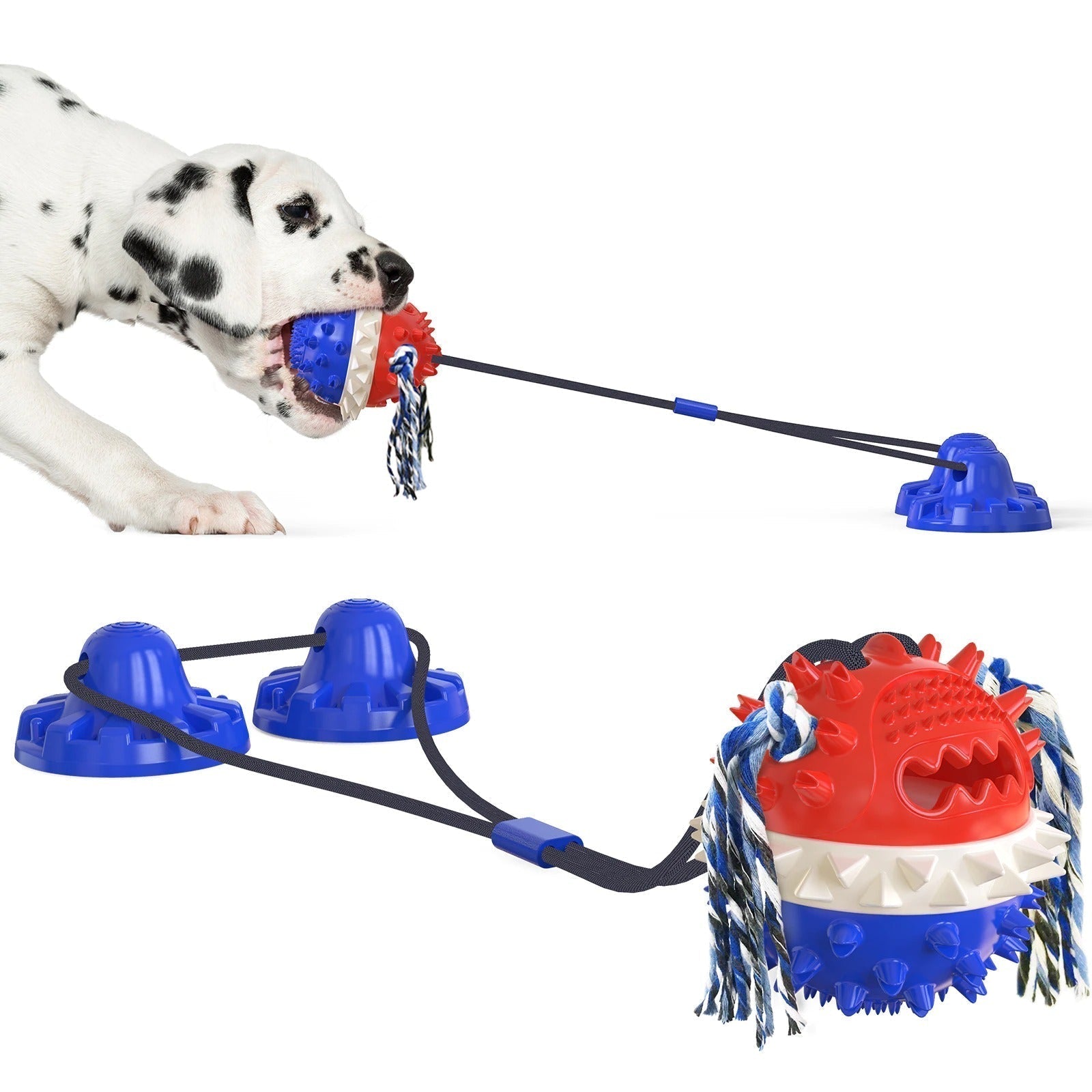 Interactive Dog Toy | Suction Cup Base with Dental Chew Ball
