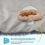 Orthopedic Dog Bed | Memory Foam With Plush Cover