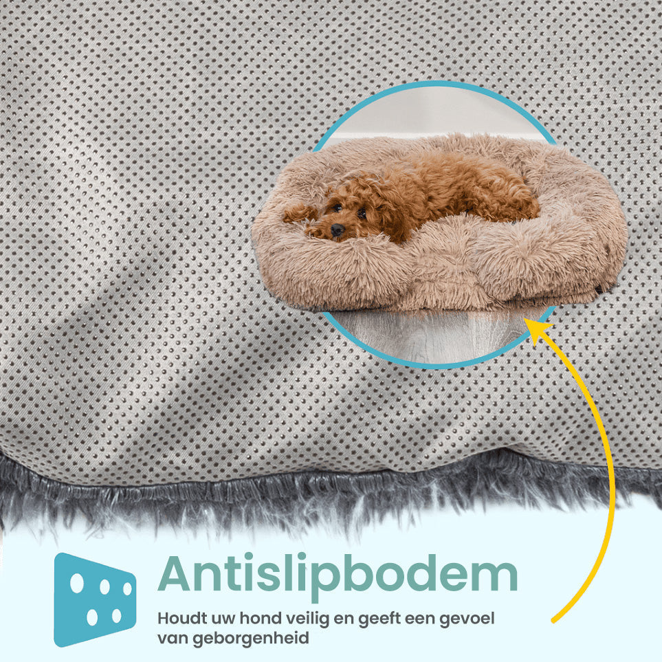 Orthopedic Dog Bed | Memory Foam With Plush Cover