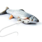 Interactive Fish Dog Toy | Motion Sensor Activated Moving Plush