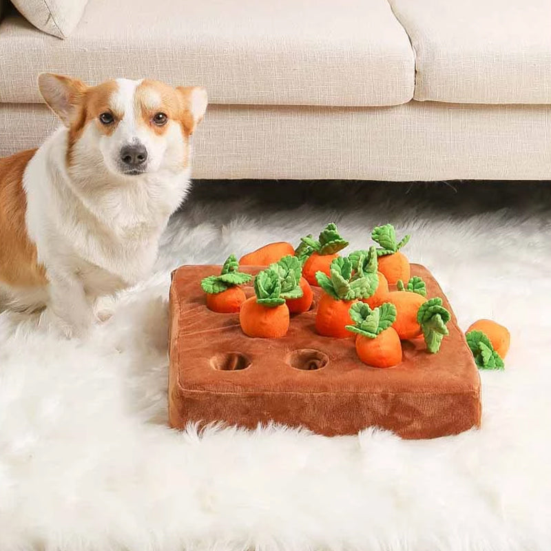 Interactive Dog Puzzle Mat | Carrot Garden Treat Dispenser