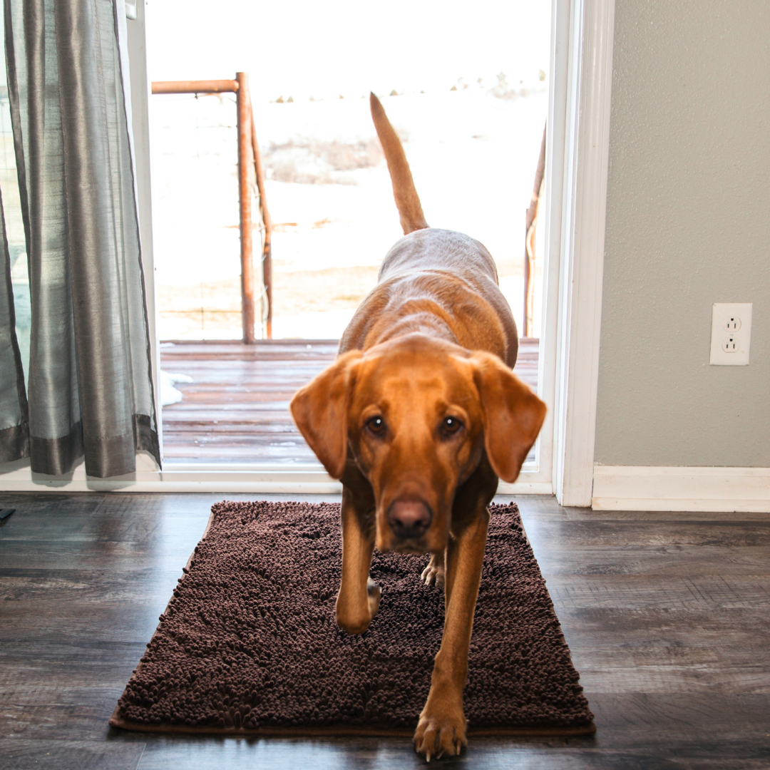 Absorbent Pet Door Mat | High-Performance Microfiber Cleaning Pad