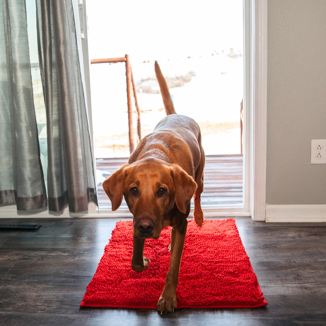 Absorbent Pet Door Mat | High-Performance Microfiber Cleaning Pad