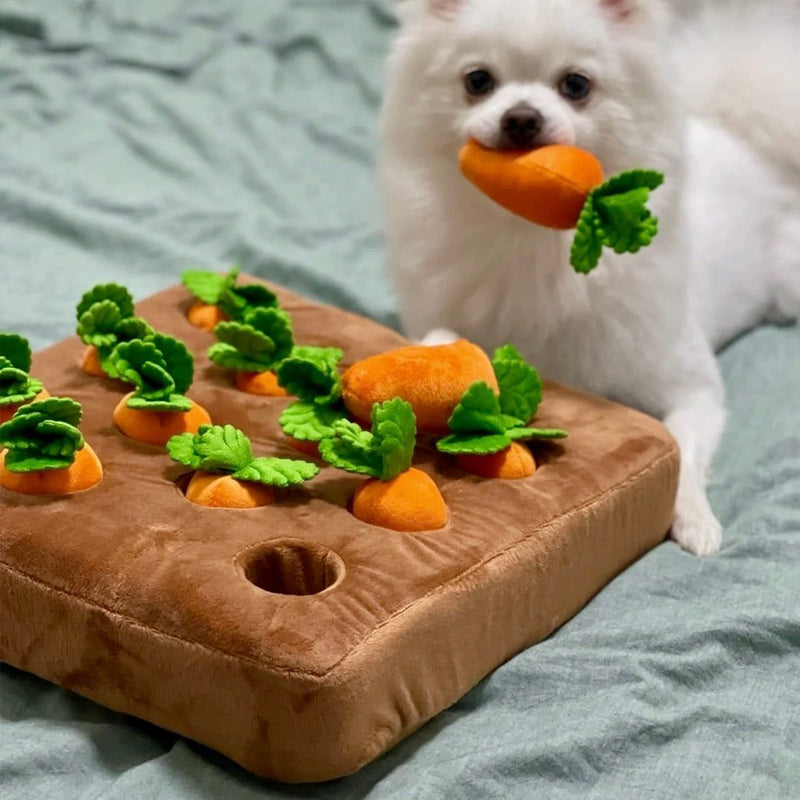 Interactive Dog Puzzle Mat | Carrot Garden Treat Dispenser