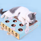 Interactive Cat Playground | 3-in-1 Cardboard Scratch Post & Play Box
