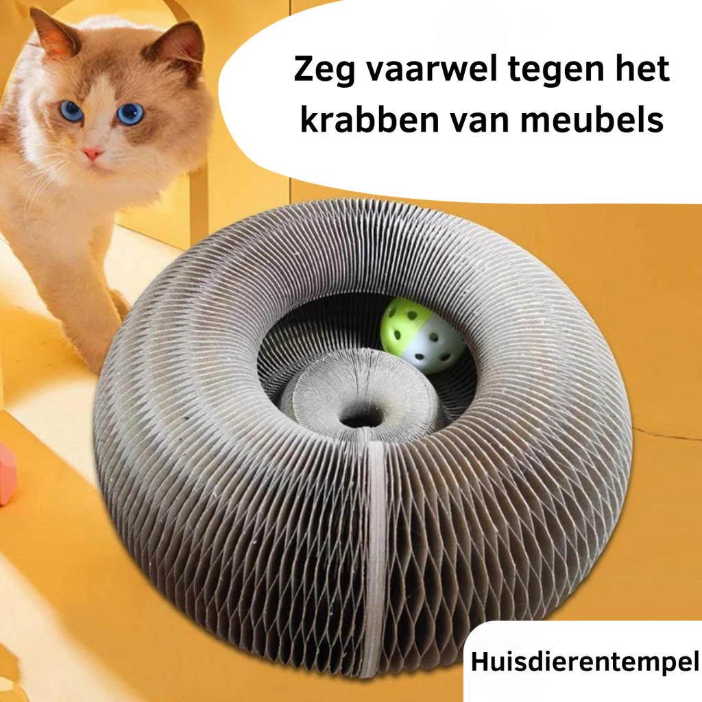Interactive Cat Scratcher Toy | Collapsible Play Ring With Ball