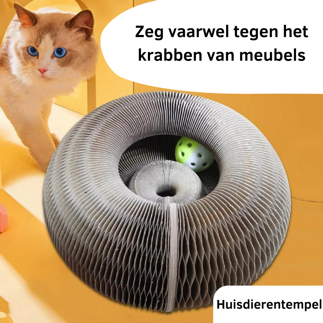 Interactive Cat Scratcher Toy | Collapsible Play Ring With Ball