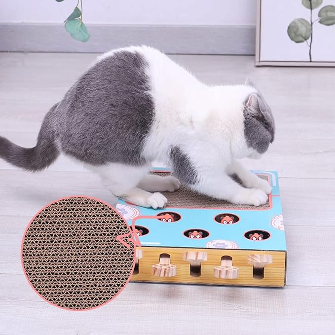 Interactive Cat Playground | 3-in-1 Cardboard Scratch Post & Play Box
