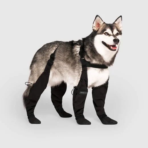 Protective Dog Boots | All-Weather Paw Guards