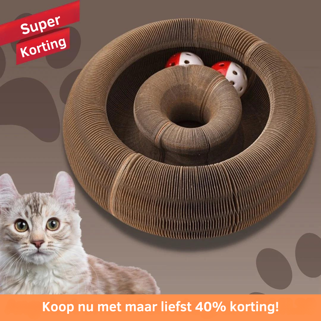 Interactive Cat Scratcher Toy | Collapsible Play Ring With Ball