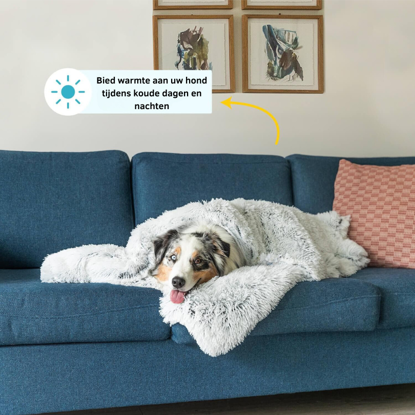 Plush Pet Throw Blanket | Premium Faux Fur Comfort
