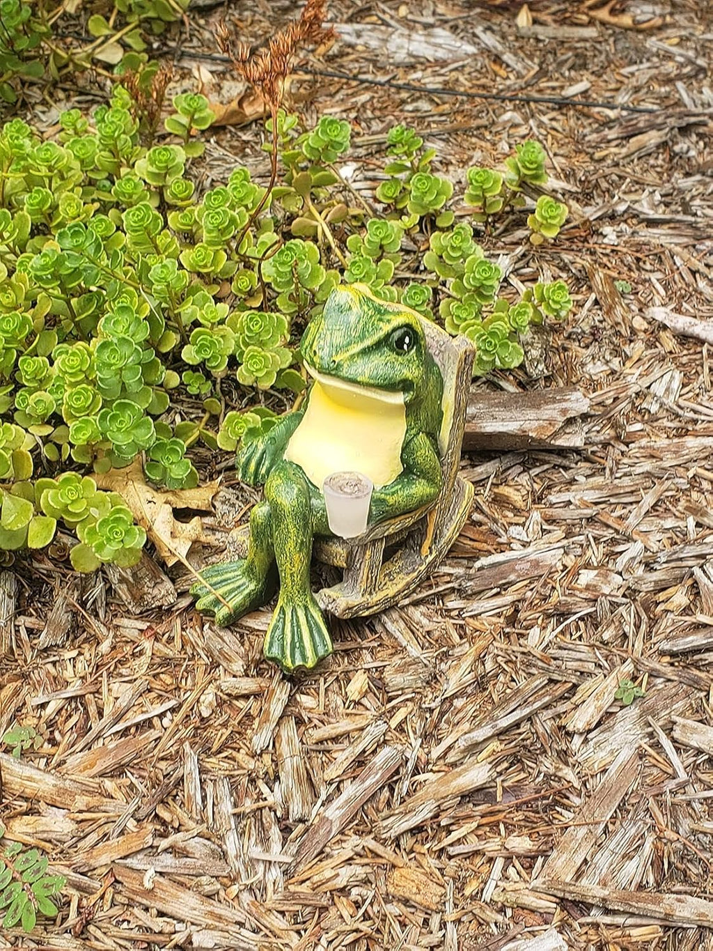 Solar Garden Frog Light | Hand-Painted Rocking Chair Design