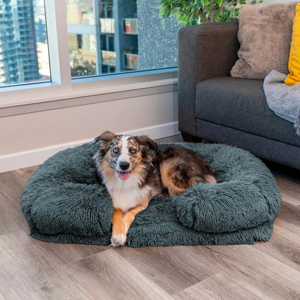 Orthopedic Dog Bed | Memory Foam With Plush Cover