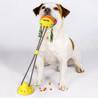 Interactive Dog Toy | Suction Cup Base with Dental Chew Ball