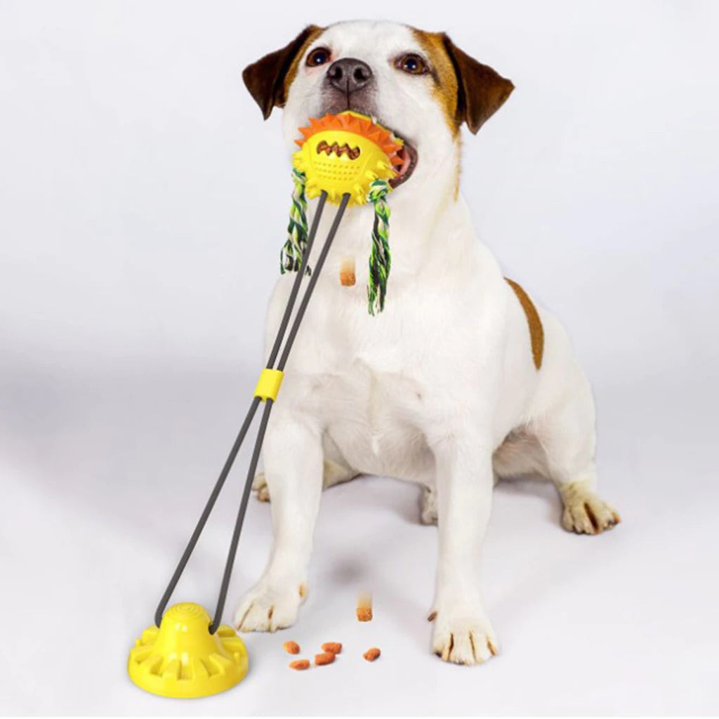 Interactive Dog Toy | Suction Cup Base with Dental Chew Ball