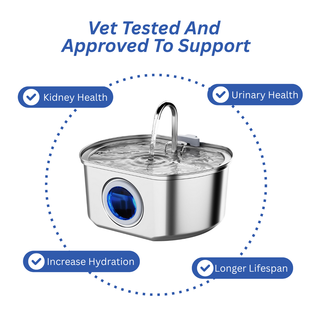Pet Water Fountain | LED Indicator Stainless Steel Design