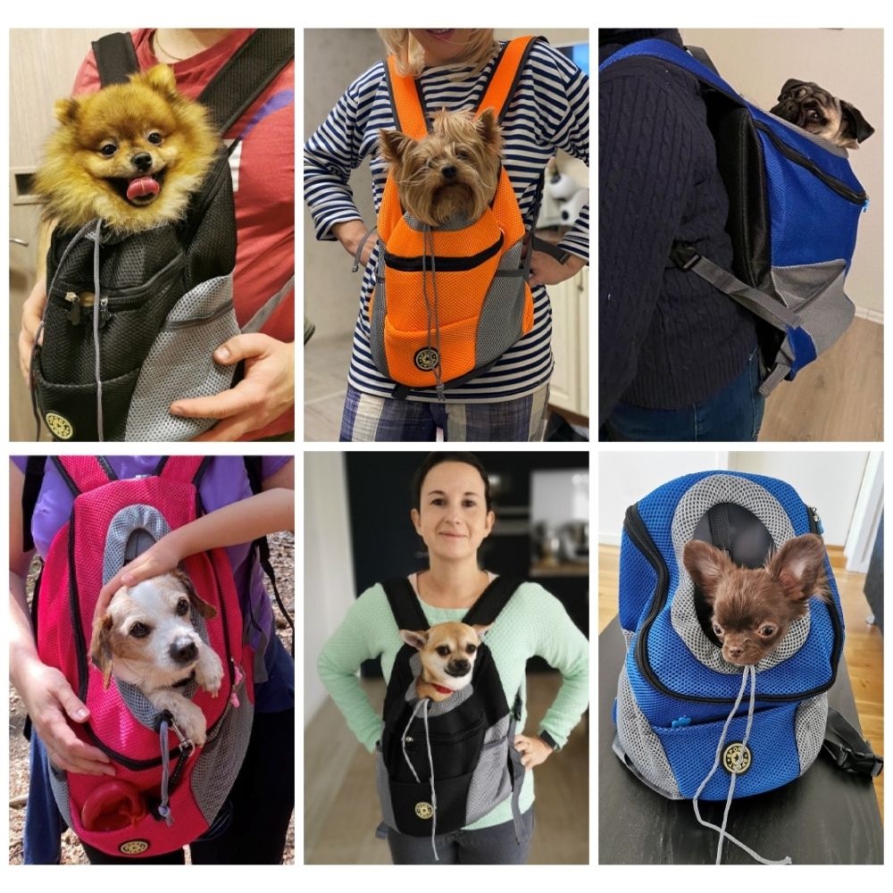 Pet Travel Backpack | Mesh Ventilated Carrier For Small Dogs