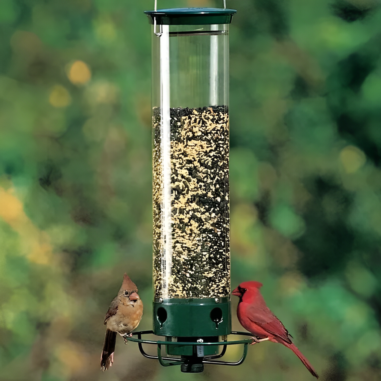 Squirrel Proof Bird Feeder | Weight Activated Anti Squirrel Design