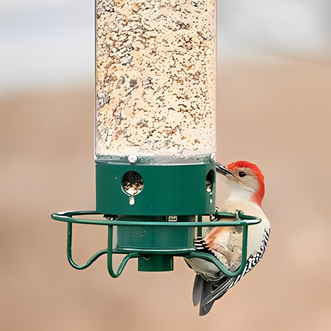 Squirrel Proof Bird Feeder | Weight Activated Anti Squirrel Design