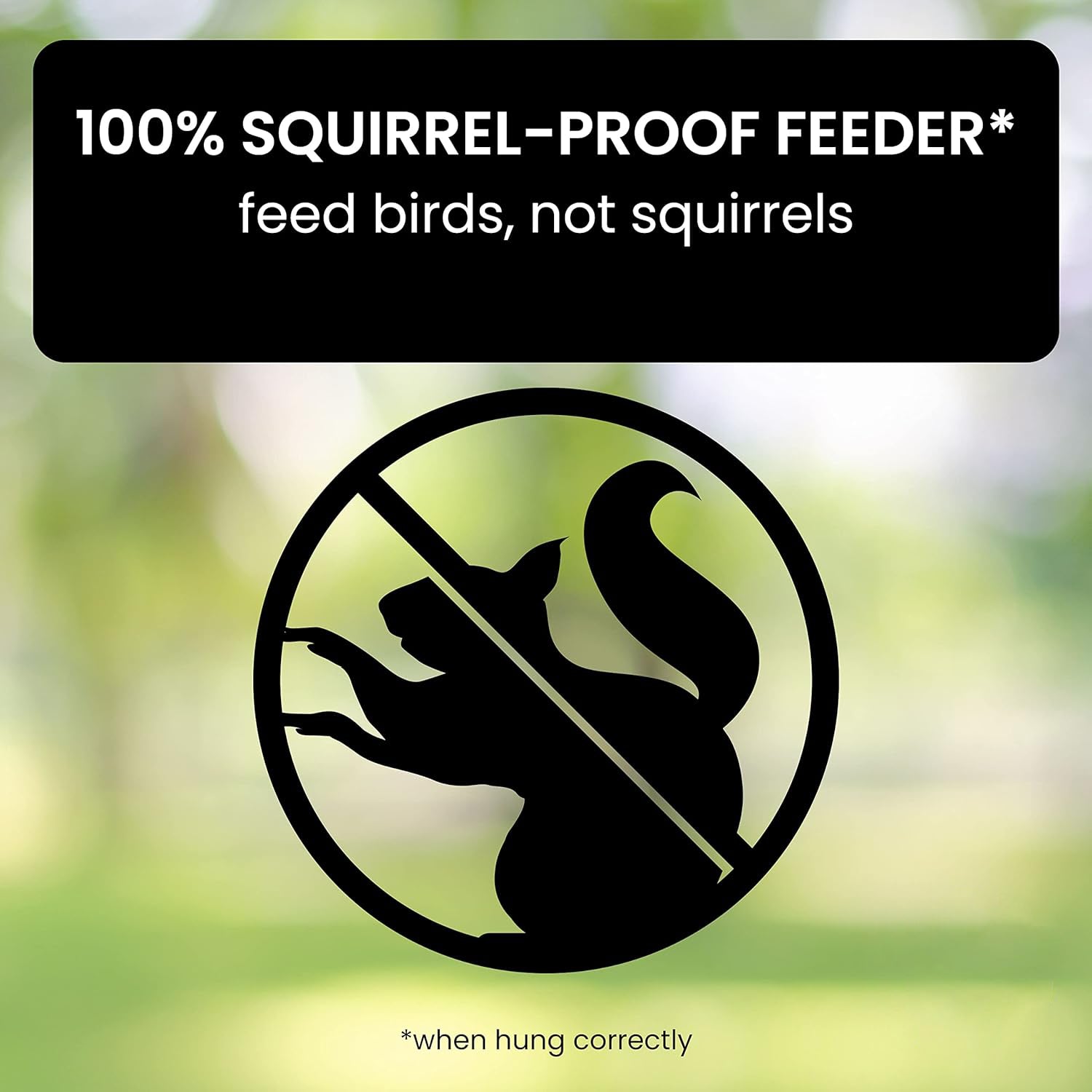Squirrel Proof Bird Feeder | Heavy Duty Metal Tube Design