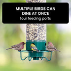 Squirrel Proof Bird Feeder | Weight Activated Anti Squirrel Design