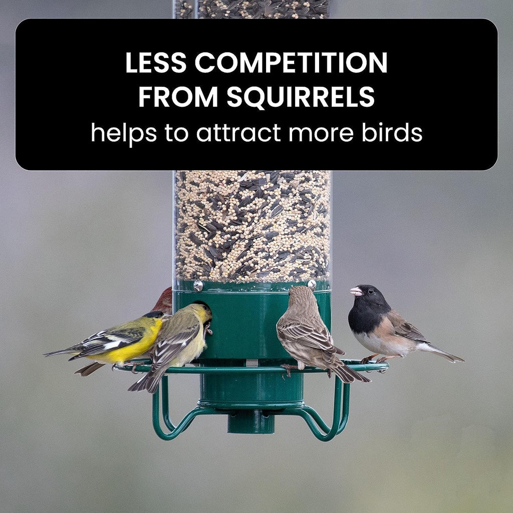 Squirrel Proof Bird Feeder | Weight Activated Anti Squirrel Design