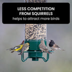 Squirrel Proof Bird Feeder | Weight Activated Anti Squirrel Design