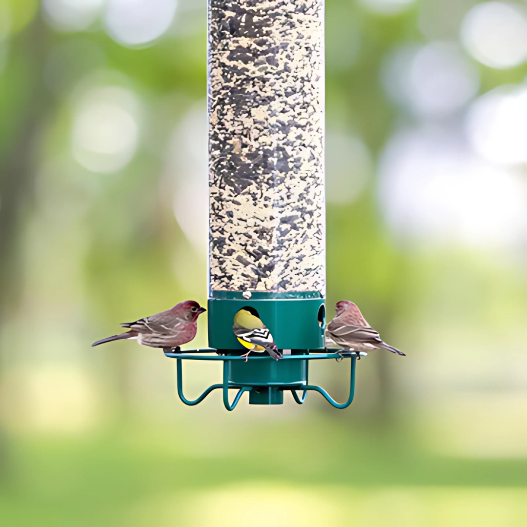 Squirrel Proof Bird Feeder | Rotating Perch Metal Design