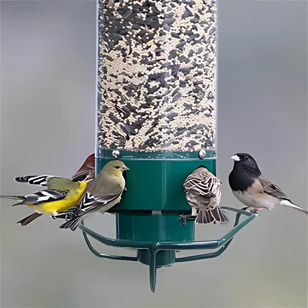 Squirrel Proof Bird Feeder | Rotating Perch Metal Design