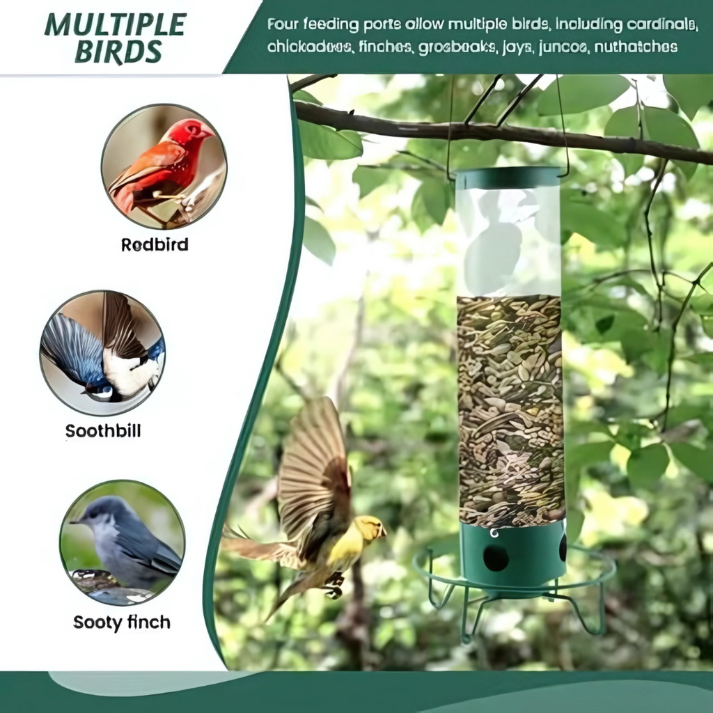 Squirrel Proof Bird Feeder | Rotating Perch Metal Design