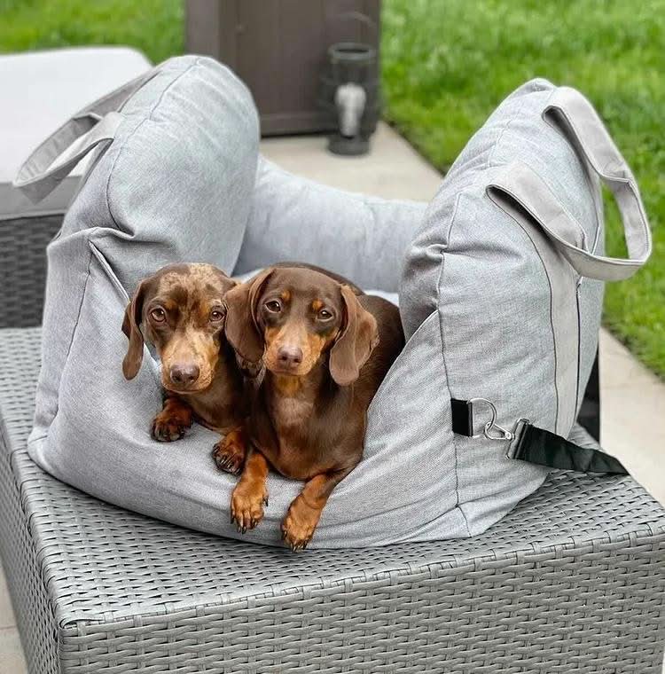 Dog Car Seat Bed | Adjustable Safety Straps and Washable Cover