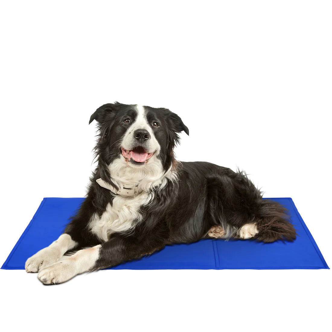 Pet Cooling Mat | Self-Regulating Gel Technology